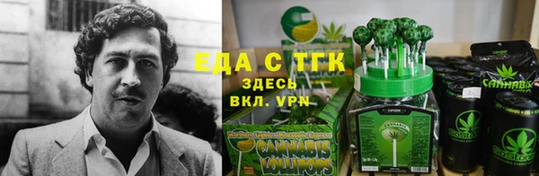 твердый Богданович