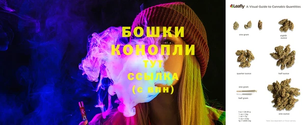 твердый Богданович