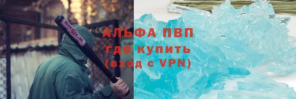 твердый Богданович