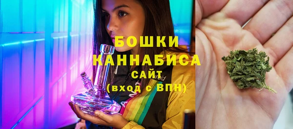 твердый Богданович