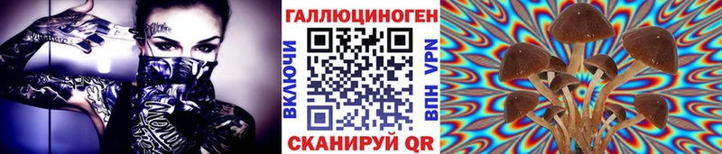 продажа наркотиков  Вязьма  даркнет как зайти  Псилоцибиновые грибы мицелий 