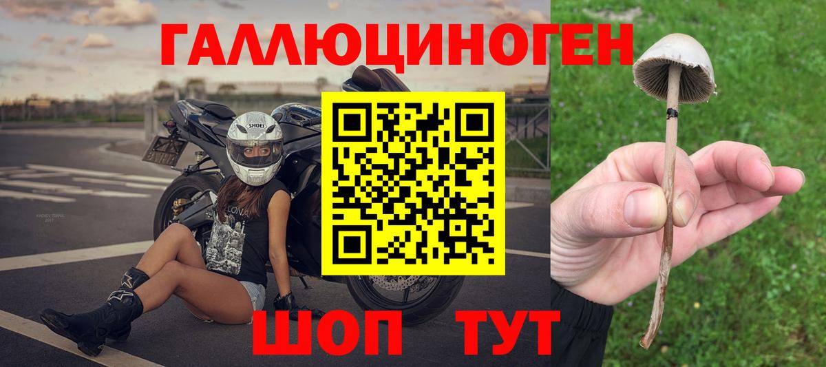 Вязьма  Галлюциногенные грибы Cubensis  Вход с VPN 